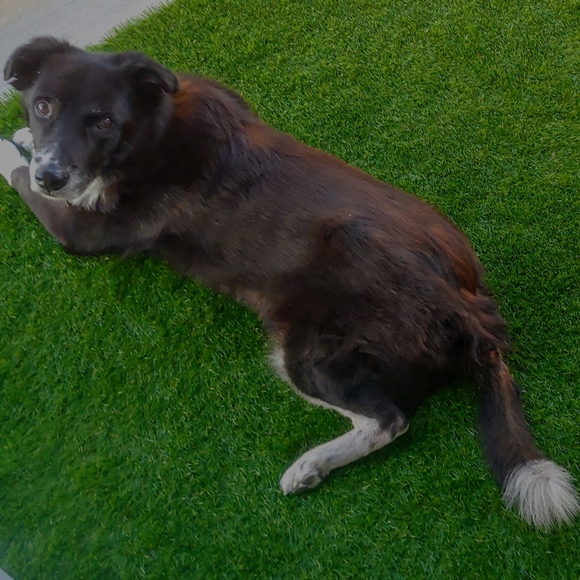 Meet your Posher, Michelle - Picture 4 of 12